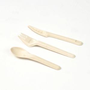 Quality 165mm White Compostable Sugarcane Bagasse Sugarcane Disposable Cutlery Fork Knife Spoon wholesale