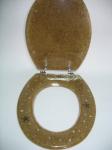 sea star shell toilet seat
