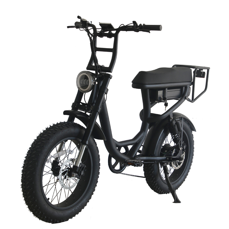 Electric Bicycle 48v 20 Inch Adult E Bike Customized Aluminum Alloy Frame 2022 Mountain