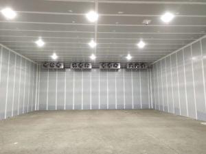 Quality Ultrasonic CA Room Cold Storage Doors For Fruit Vegetable Sterilization wholesale