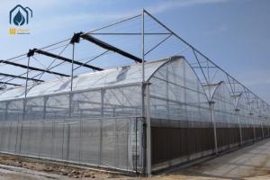 Quality Agricultural Galvanized Steel Multi Span Greenhouse For Vegetable Cultivation wholesale
