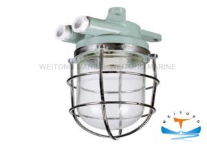 Quality Marine Incandescent Work Light Marine Wall Light DS7 wholesale