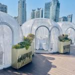 Fashion Design Bubble Star Glass Dome House Event Party Tent PC Dome House