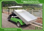 CE Approved Green 48V Trojan Hotel Buggy Car , 2 Seats Electric Utility Golf