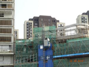 Quality Q345B Steel Man Material Rack And Pinion Hoist wholesale