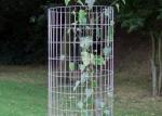 ISO9001 SS304 SS201 Plastic Coated Wire Mesh Panels For Support Of Plants