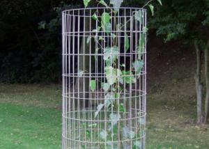 Quality ISO9001 SS304 SS201 Plastic Coated Wire Mesh Panels For Support Of Plants wholesale