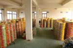 Bendable DN13 Stainless Steel Natural Gas Pipe Euro Safety Standard