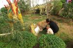 Long 2.5 M Artificial Outdoor Natureal Giant Dinosaur Statue For Shopping Mall