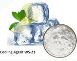 Cooling Agent Ws 23 Powder White Food Grade E Liquids Industry Use