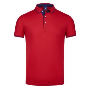 Quality Custom Embroidered Printting Logo Polo T Shirt 100% Cotton Polyester wholesale