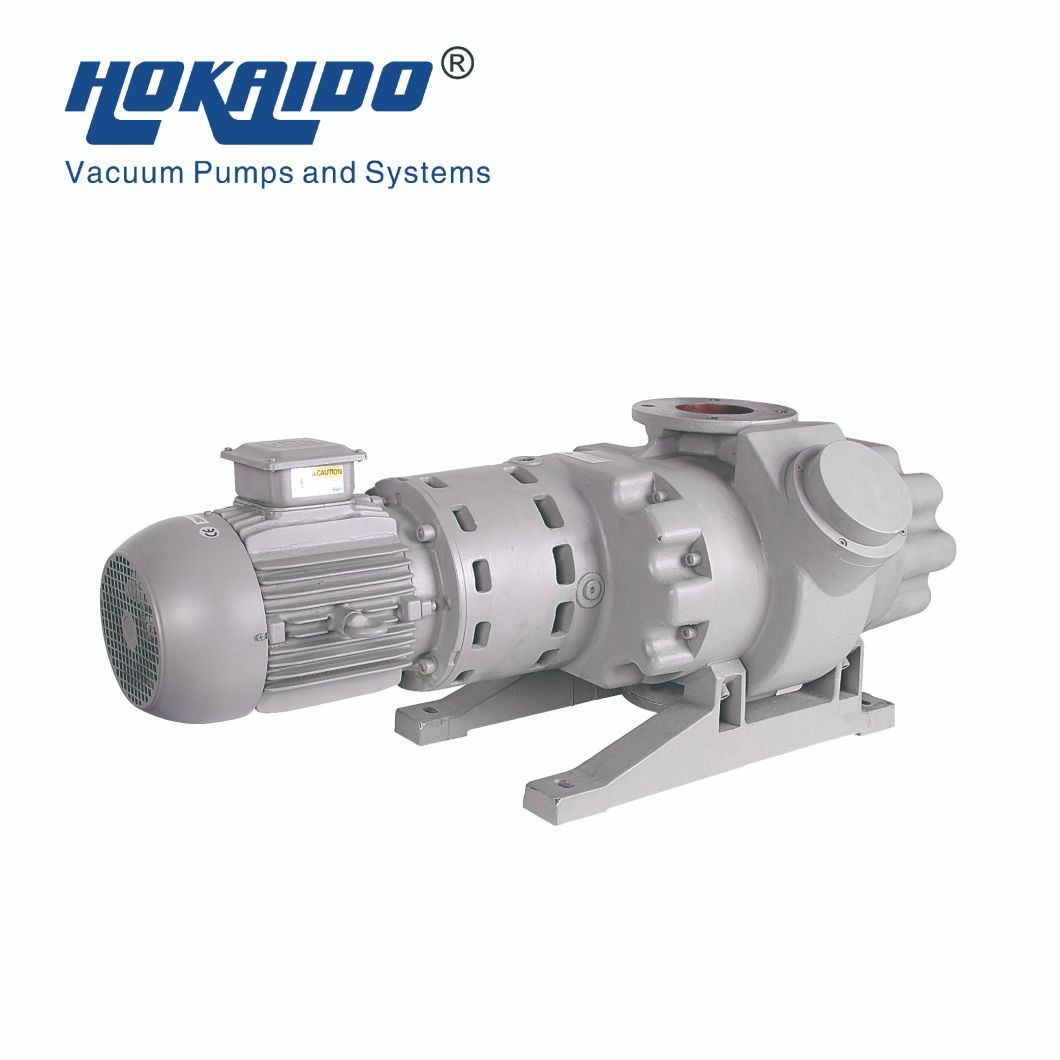 500/1000/2000m&sup3; /H Roots Vacuum Pump Booster Use in Petroleum/Chemical Engineering/Medicine/Pharmacy/Food/Spinning/Daily Use Chemical/ Resin Deaeration