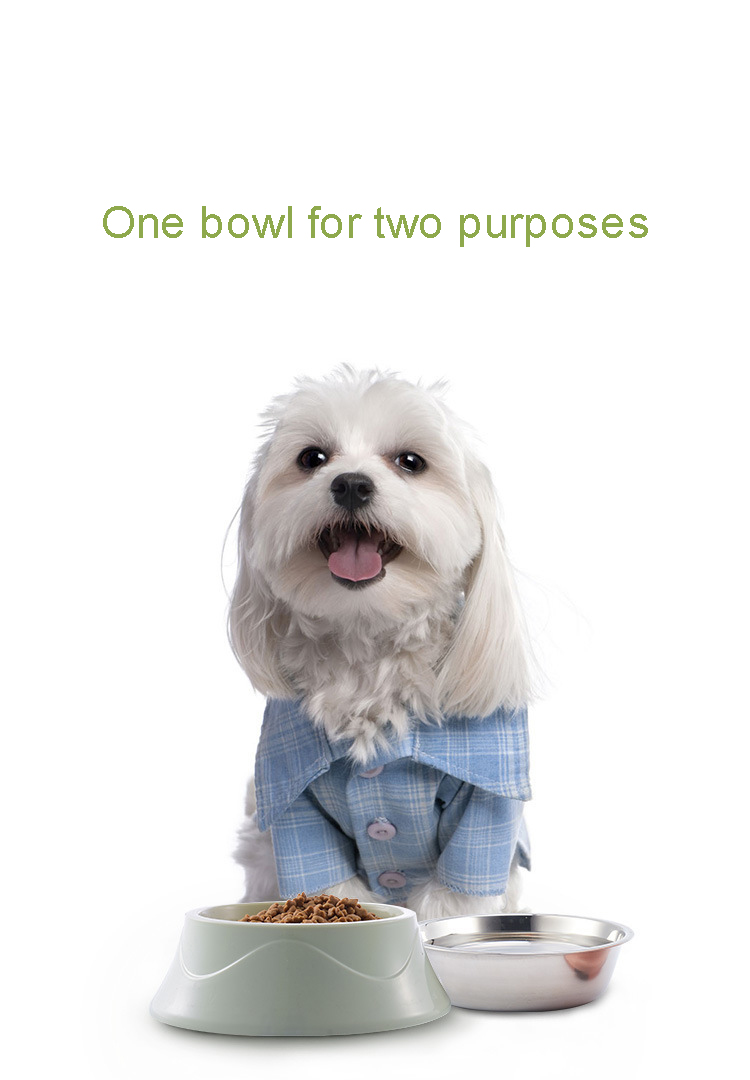 Stainless Steel Dogs Bowl Cat Food Bowl Custom Colorful Capacity 400ML Custom Design