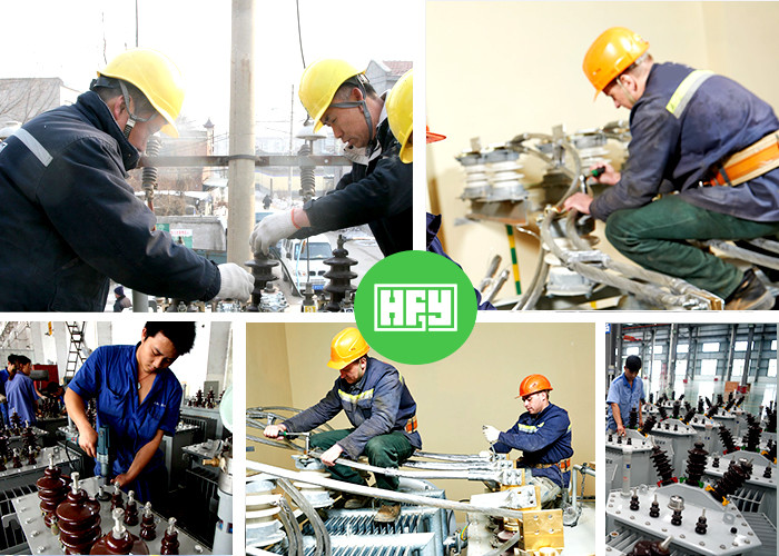 Three Phase Oil Immersed Distribution Transformer HV Projects IEC60076 Standard