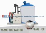 ISO 304 Stainless Steel Flake Ice Machine With Germany Compressor