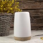 Night Light 25ML/H 12W 100ML Ultrasonic Aroma Diffuser