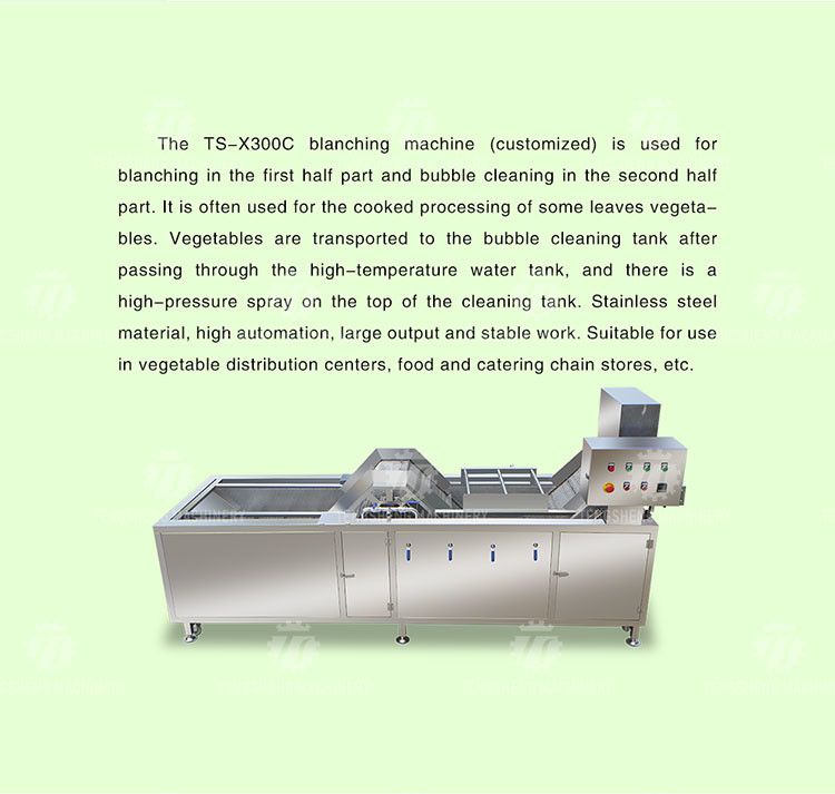 380V 3.5KW Stainless steel blanching machine bubble cleaning blanching equipment water bath spray equipment