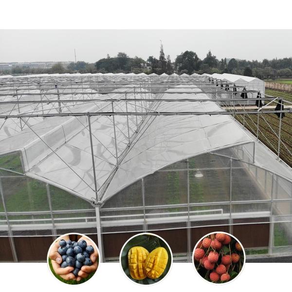 Tropical Climate Custom Size Poly Tunnel Plastic Film Agricultural Sawtooth
