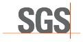 Provide SGS pre-shipment inspection,Saudi Arabic SASO,Kuwait TER/TIR,Iraq VoC