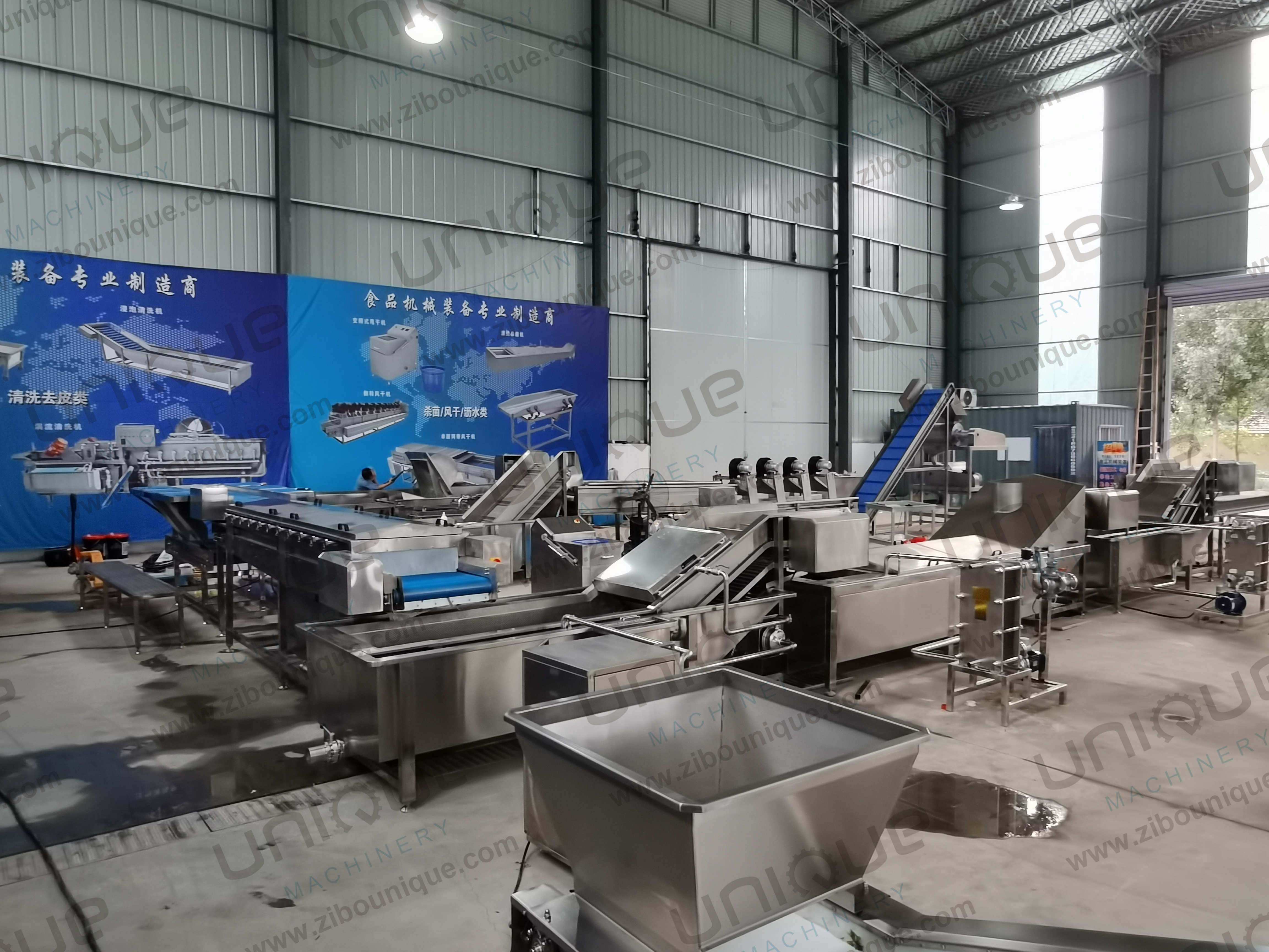 220v/ 380v Stainless Steel 304 Nut Selecting Conveyor Belt for Raisin Sorting Machine