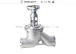 4" Sanitary Donjoy globe valve with Stanless steel hanlde