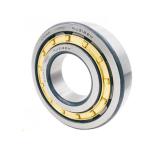 NU2252 NU2252MA NU2252EM Cylindrical Roller Bearing Single Row