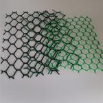 Roadbed and Tunnel Engineering Green HDPE Geonet with Anti-Ultraviolet