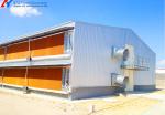 Large Steel Structure Poultry Birds Chicken Farming Breeder Shed Building