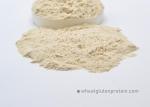 Noodle Processing 82.5% Wheat Protein Gluten