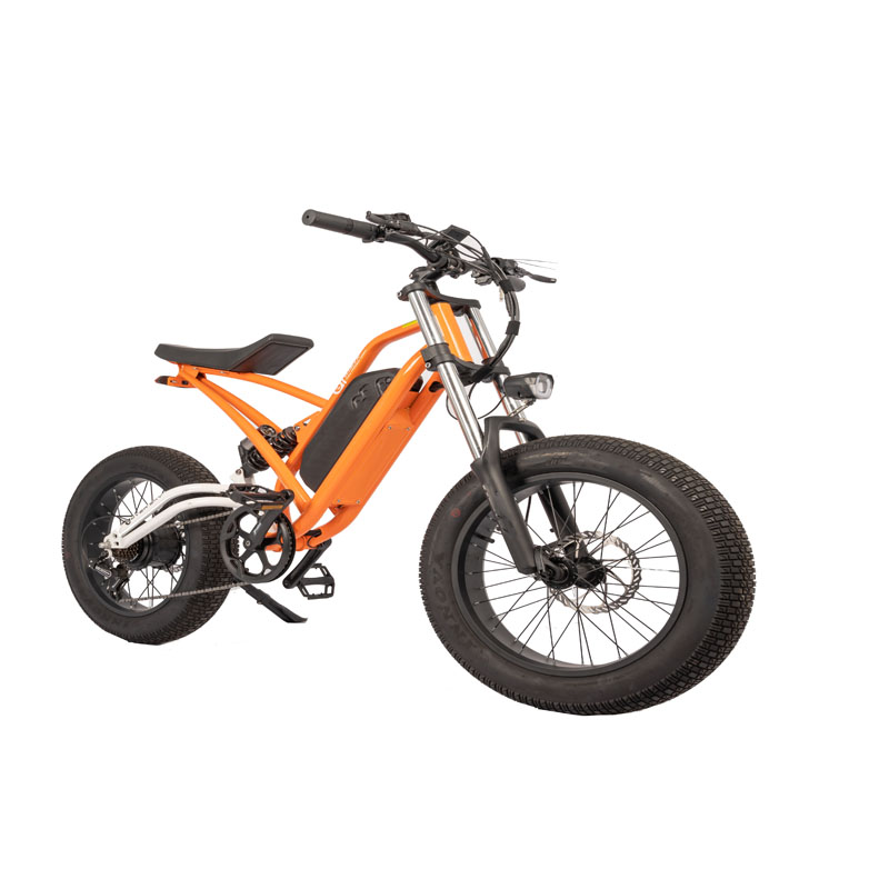Steel Frame High Power Ebike 1000w Electric Bicycle with LCD Display and Fat Tire Bike