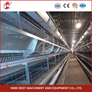 Quality Automatic Battery Egg Layer Chicken Cage Equipment Farm Poultry Laying Hens Rose wholesale