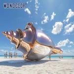 Large outdoor metal art conch stainless steel sculpture