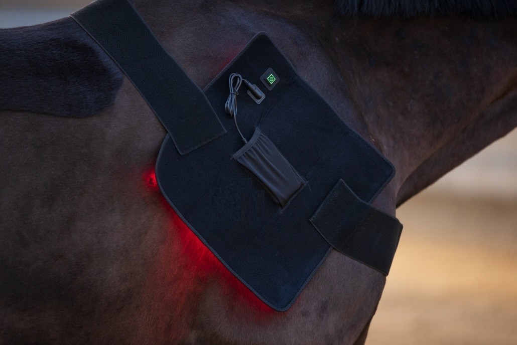 65W 120pcs LED Near Infrared Red Light Therapy Pad For Horse Back