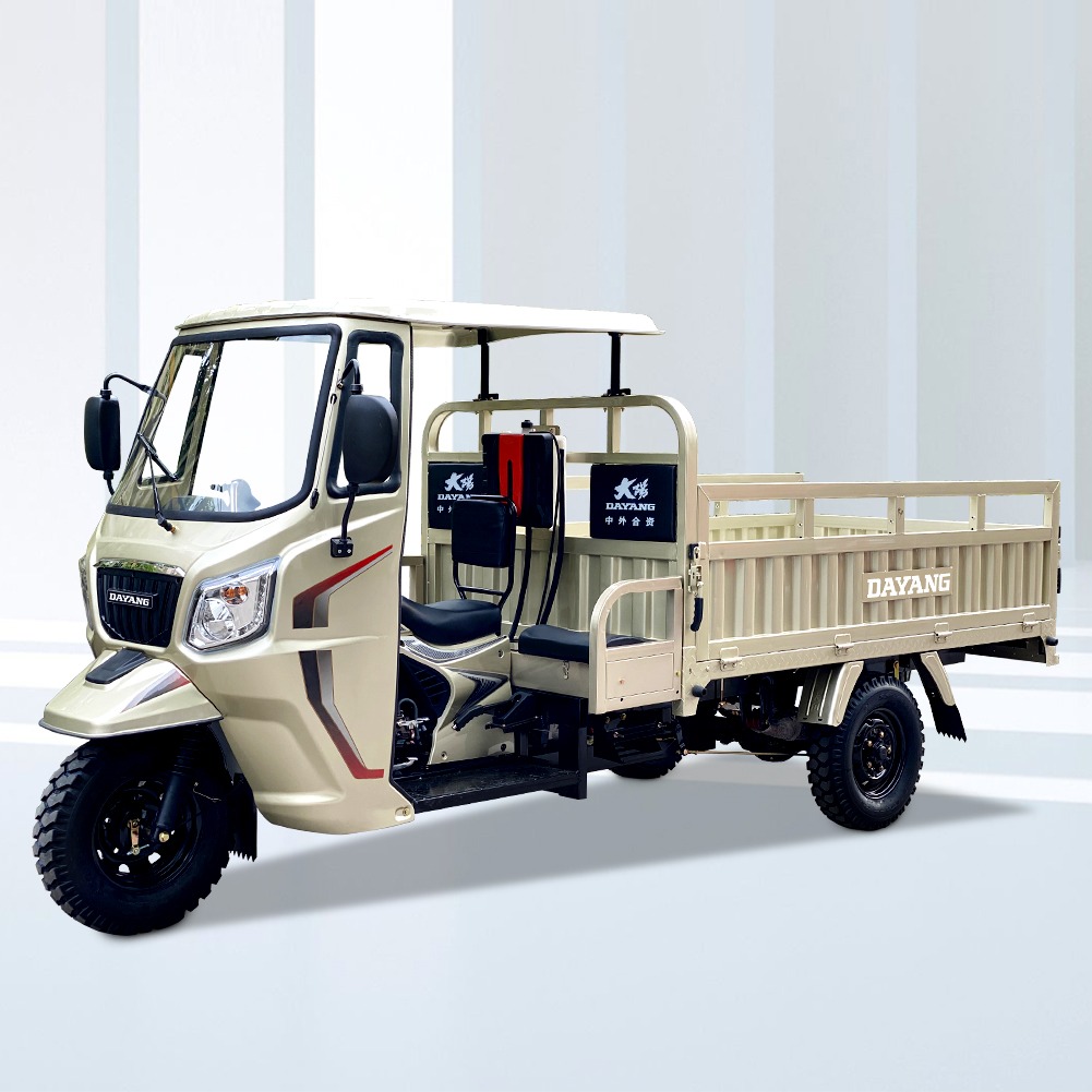 Rear-Axle Full Floating Motorcycle Tricycle 3 Wheel Cargo for Adult Rose Gold Body 168