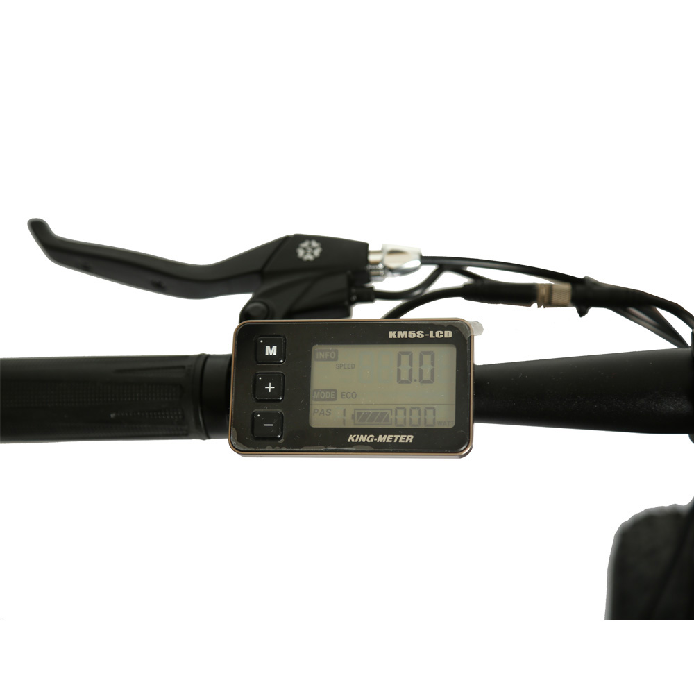 22.5AH 750W or 1000W Battery Electric Mountain Bike with Rear Hub Motor and 26" Fat Tires