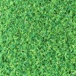 High Density Curly Sports Artificial Grass For Golf Gateball Basketball Two