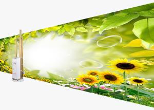 Quality Picture Printing Automatic Wall Painting Machine 2000mm Net Height Drawing wholesale