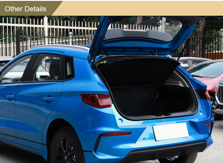 2023 Energy Electric Vehicle High Speed Adult Electric Car Made In with Fast Charge 0.5h 80% Lithium Iron Phosphate Battery