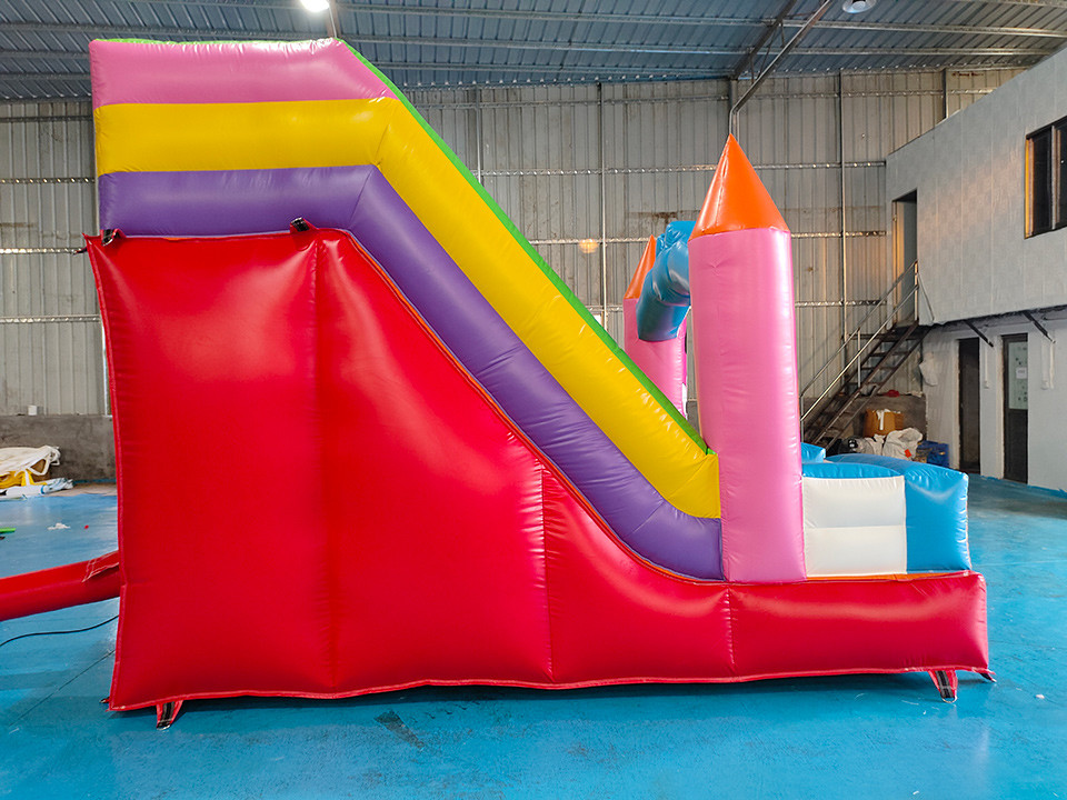 SGS Commercial Inflatable Water Slides Cartoon Themed Infant Bounce House Blow Up Jump House