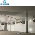 Expansion Valve 40FT Container Cold Storage Room for Fruits and Vegetables