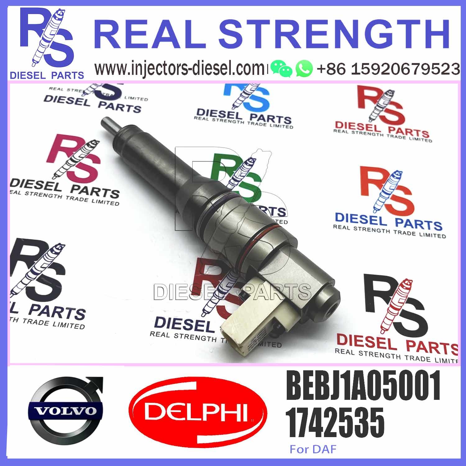 Fuel Injector Assembly BEBJ1A05002 BEBJ1A00202 BEBJ1A05001 1905001 1846419 1905002