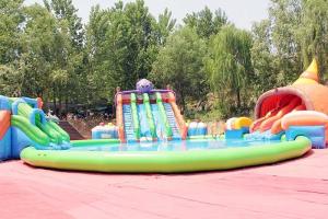 Quality Octopus Commercial Inflatable Water Park Customized Size Acceptable wholesale
