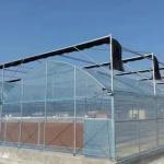 Seedling Cultivation Juxiang Hydroponic Farm Film Greenhouse with Customized