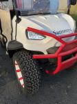 Lead-acid Battery Operated 4 Passenger Customized Off Road Electric Golf Cart