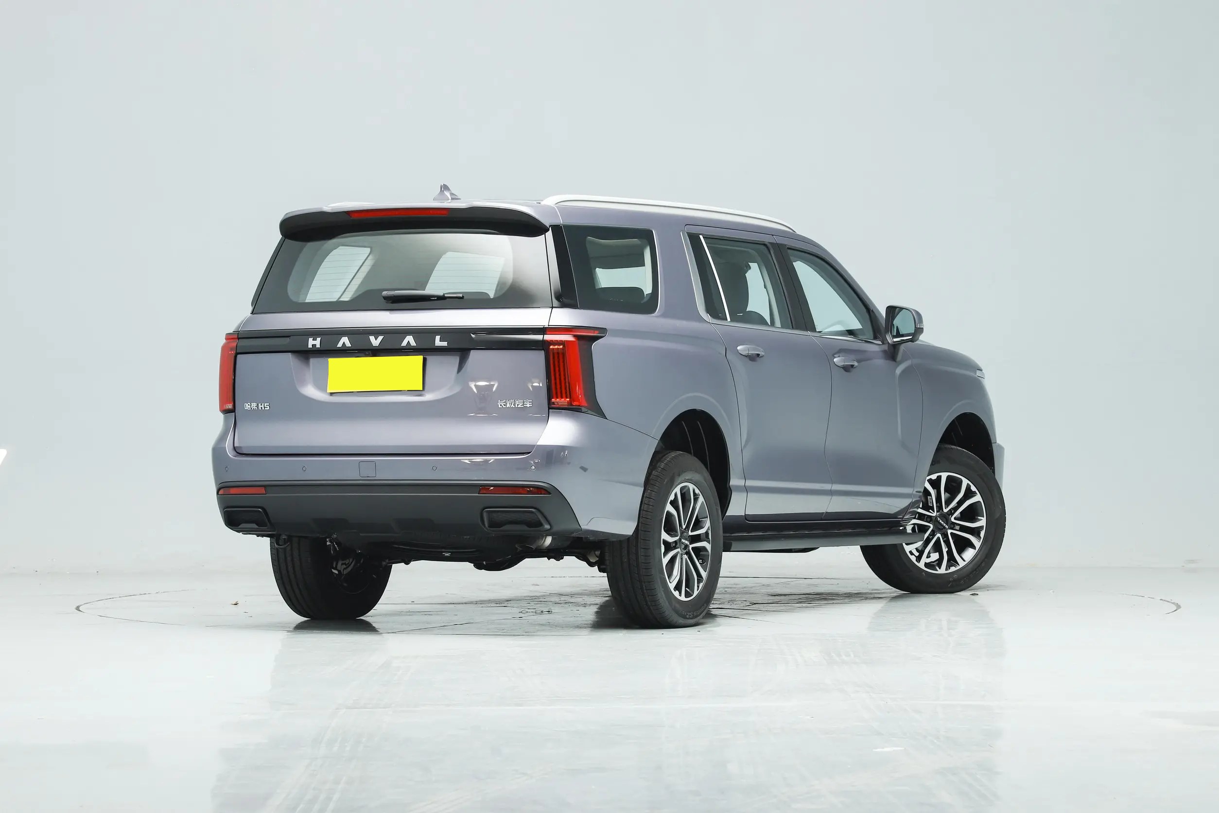 SUV 2023 Great Wall HAVAL H5 Electric Diesel Engine Leather Turbo Multi-function Automatic Tank 500 Car R17 LED Camera