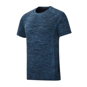 Quality Breathable Fitness Wear Unisex T Shirt 240gsm Gym Cricket Jersey wholesale