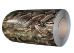 Galvanized Sgce Color Coated Pre Painted Steel Coil Ral 9014 5016