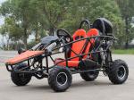 Single Cylinder CVT Transmission Go Kart Buggy 2 Seat 125cc Go Kart