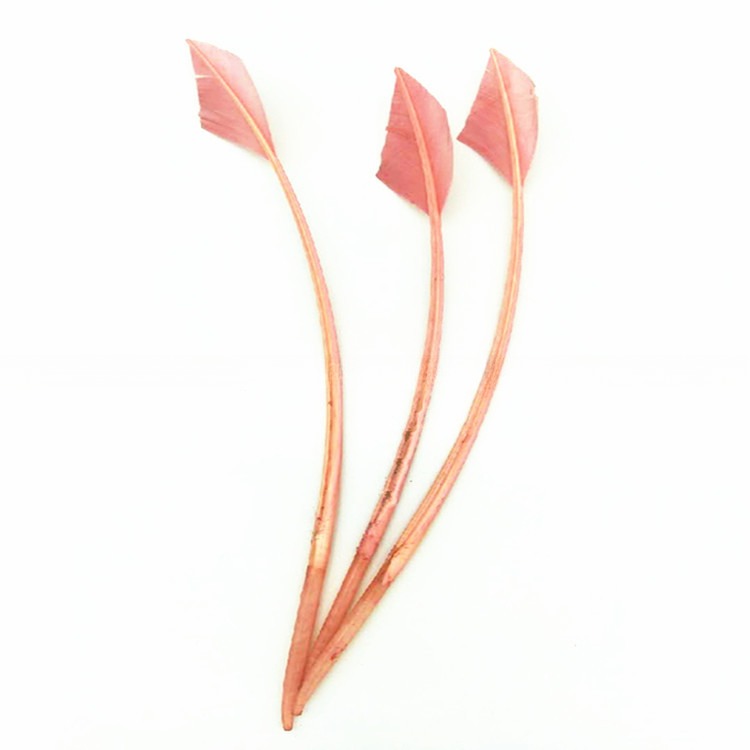 Millinery Supplies 10-12 inch 25-30 cm Turkey Feather for Arrow Head Party Decoration