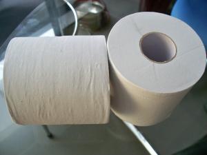 Quality Embossed Recycle White Toilet Tissue Paper Roll , 2ply 16gsm 10 rolls per bag wholesale